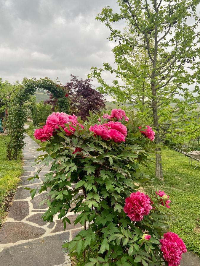 Residence delle Rose Barolo Exterior foto